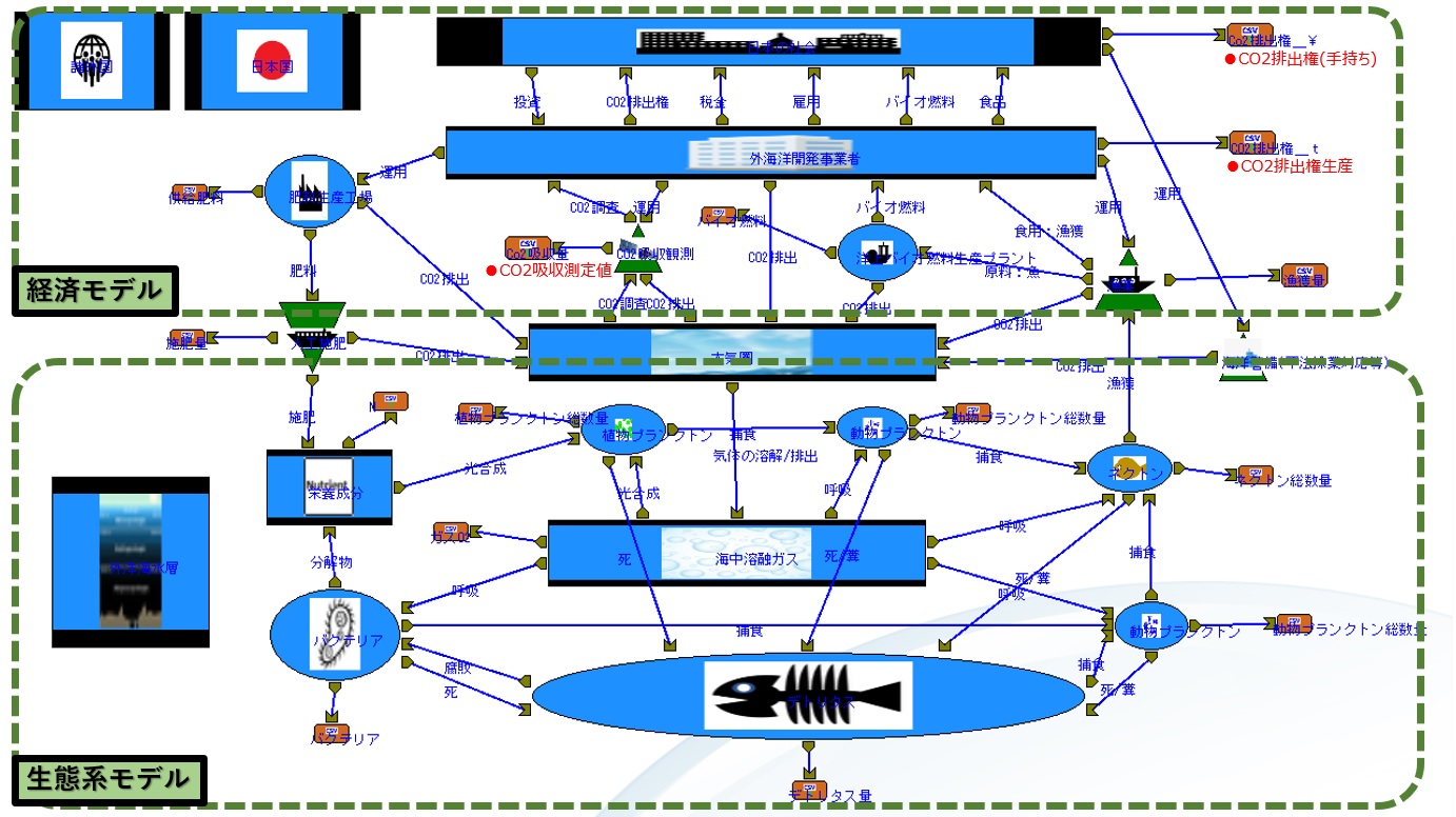 生態系モデルに経済モデルを追加した全体の数値計算モデル:海上施肥を行って植物プランクトンを栽培する。これらを基盤とする海洋生態系モデルを数値計算によって検証する。さらに海上施肥による形成される生態系を維持する事を経済モデルによって実施する
